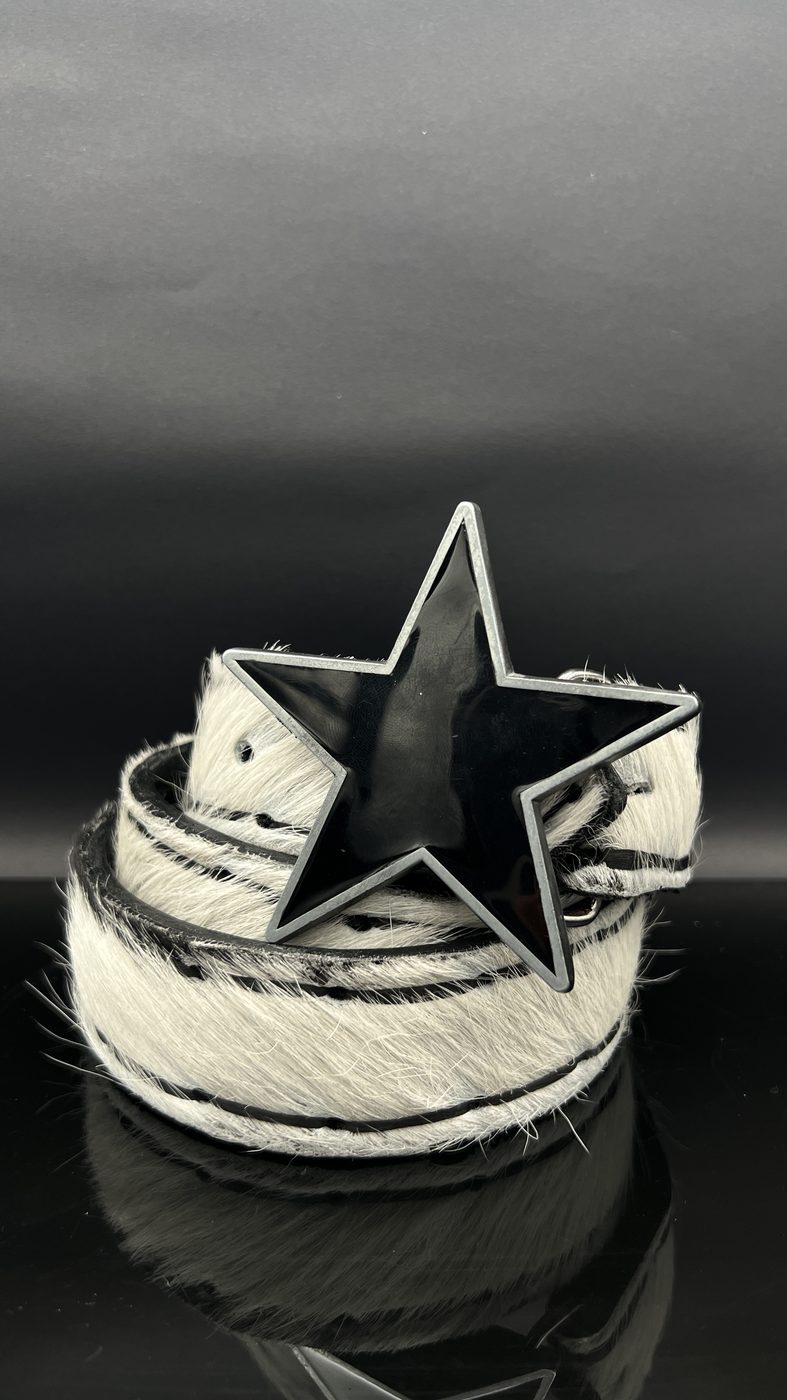 Star buckle