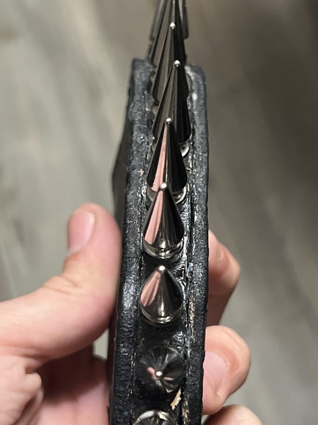 Spiked case, in hand